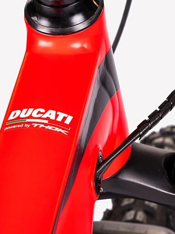 Ducati E Bike MIG S Rot Schwarz Haendler Aargau Basel