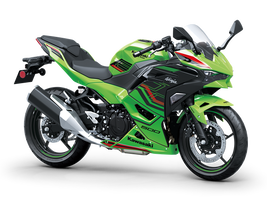 Kawasaki Ninja 500 SE Grün