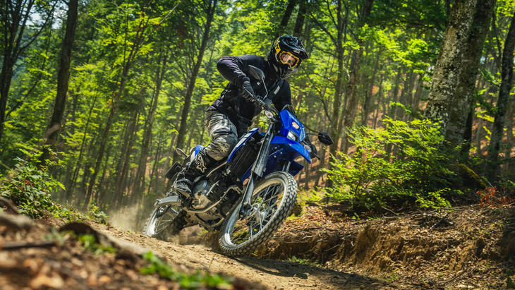 Yamaha WR125 R in the forest
